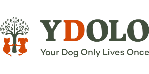 Logo YDOLO