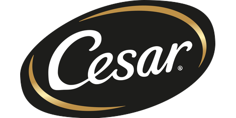 Logo Cesar