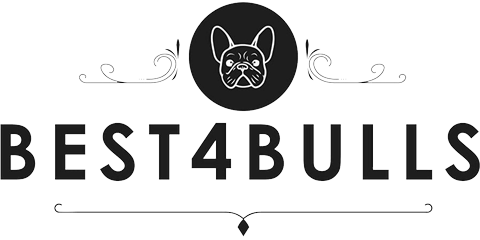 Logo Best4bulls
